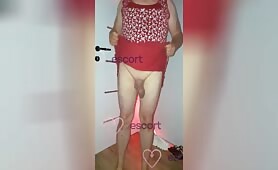 Amira - ogłoszenie towarzyskie Gdańsk #20